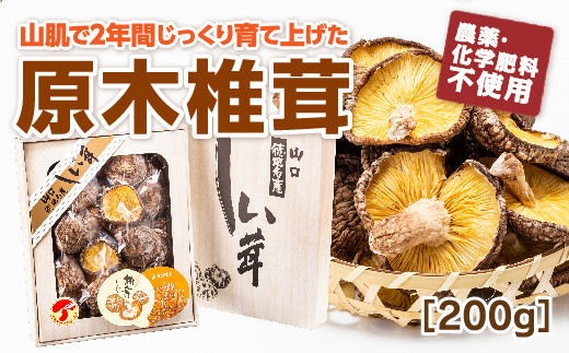 D103 山口徳地産原木栽培乾しいたけ200g山口県山口市17000野菜・きのこきのこ
