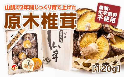 D190 山口徳地産原木栽培乾しいたけ120g山口県山口市12000野菜・きのこきのこ