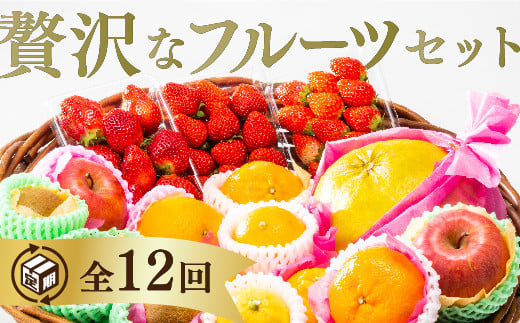 A027 ご褒美*フルーツ定期便(12回)山口県山口市203000果物・フルーツその他 果物・フルーツ