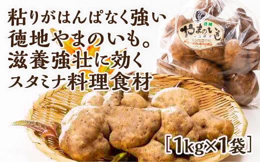 E059 徳地やまのいも1s袋(ご家庭用)×1袋山口県山口市7000野菜・きのこその他 野菜