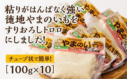 D020 徳地やまのいものすりおろしトロロ 100g×10個山口県山口市28000野菜・きのこその他 野菜