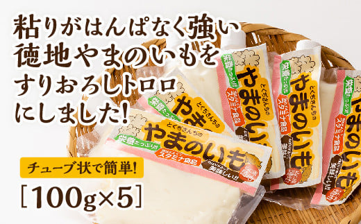 D152 徳地やまのいものすりおろしトロロ 100g×5個山口県山口市15000野菜・きのこその他 野菜