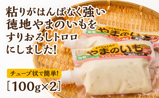 E060 n܂̂̂肨낵g@100g×2RRs6000؁Ê̑ 