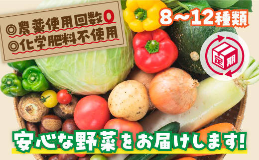 A034 安心お野菜定期便(12回コース)山口県山口市163000野菜・きのこその他 野菜