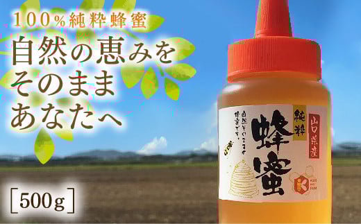 E030 純粋蜂蜜とんがり山口県山口市8000鍋セット・総菜・加工食品ジャム・はちみつ