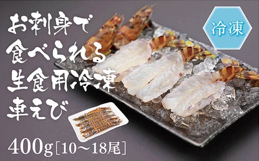 D275 生食用!活き〆超急速冷凍車えび山口県山口市16000魚介・海産物エビ