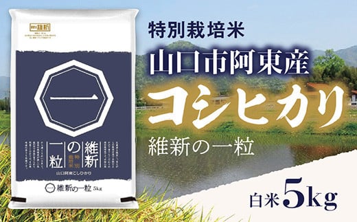 D407 維新の一粒5kg(白米)山口県山口市19000米・パン白米
