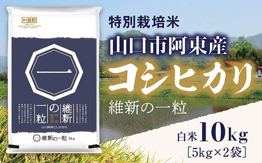 C117 維新の一粒5kg×2袋(白米)山口県山口市36000米・パン白米