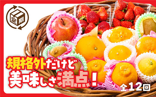 A086 規格外だけど美味しさ満点!エコ・フルーツアソートボックス定期便(12回)山口県山口市123000果物・フルーツその他 果物・フルーツ