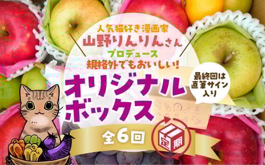 B088 山野りんりん直筆サイン入り規格外でも美味しい SDGsなフルーツ定期便(6回)山口県山口市83000果物・フルーツその他 果物・フルーツ