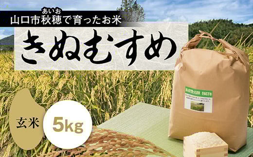 D415 あいお(秋穂)で育ったお米 きぬむすめ 玄米 5kg山口県山口市23000米・パン玄米・雑穀米・もち米・餅