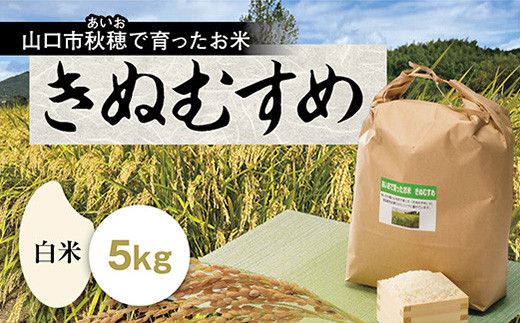 D417 あいお(秋穂)で育ったお米 きぬむすめ 白米 5kg山口県山口市23000米・パン白米