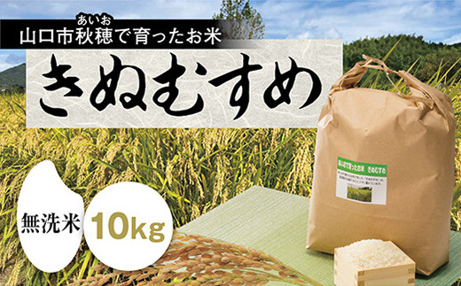 C122 あいお(秋穂)で育ったお米 きぬむすめ 無洗米 10kg山口県山口市40000米・パン白米