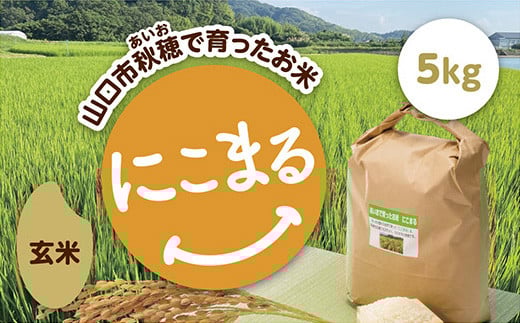 D418 あいお(秋穂)で育ったお米 にこまる 玄米 5kg山口県山口市23000米・パン玄米・雑穀米・もち米・餅