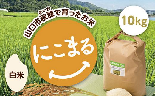 C124 あいお(秋穂)で育ったお米 にこまる 白米10kg山口県山口市40000米・パン白米