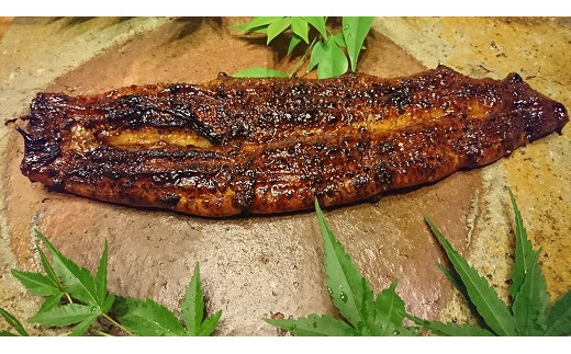 345 うなぎの蒲焼三重県伊勢市13000魚介・海産物うなぎ