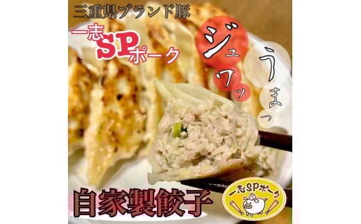 1169 おかんの手作り餃子(10個入×5袋)三重県伊勢市10000鍋セット・総菜・加工食品総菜