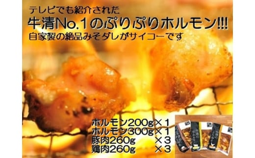 1516 自家製 みそダレ Mセット  牛 ホルモン 200g 300g×各1 豚肉 ×3 鶏肉 ×3/ 黒毛和牛ホルモン 牛清 バーベキュー BBQ 牛肉 ぶた肉 とり肉 特製 味噌漬 味付 伊勢志摩三重県伊勢市24000肉