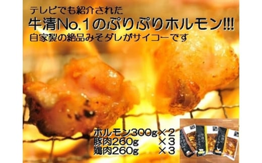 1517@Ɛ ݂_ NZbg@@ z 300×2 ؓ ×R { ×R/ јaz  o[xL[ BBQ Lv  Ԃ Ƃ  X t ɐuOdɐs25000