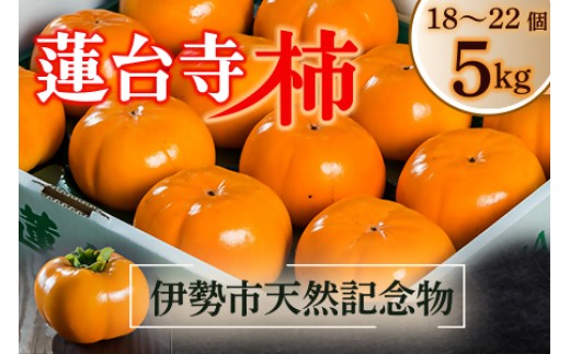 1770 伊勢市天然記念物 蓮台寺柿 通常品 蓮台寺柿 蓮台寺 柿 5s 果物 甘い 天然記念物 伊勢 旬 秋の味覚 おすすめ品 おいしい柿 甘い柿 人気商品 限定品三重県伊勢市13000果物・フルーツそ