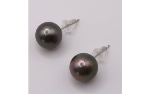 1849 Pt900 タヒチ黒蝶真珠 10.0mmup スタッドピアス三重県伊勢市90000衣類・装飾品・工芸品アクセサリー
