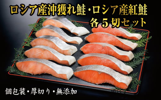 C-41004【年内配送可】 紅鮭・沖獲れ鮭切身セット(各5切)北海道根室市29000魚介・海産物鮮魚