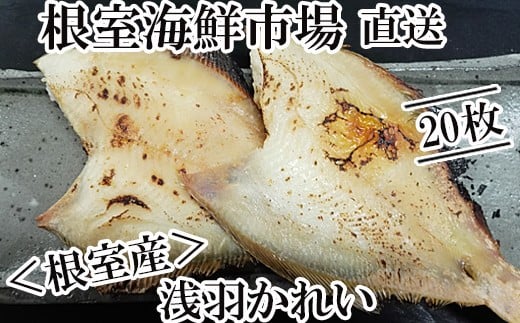 A-14063【年内配送可】  【北海道根室産】一夜干し浅羽かれい20枚北海道根室市14000魚介・海産物貝類