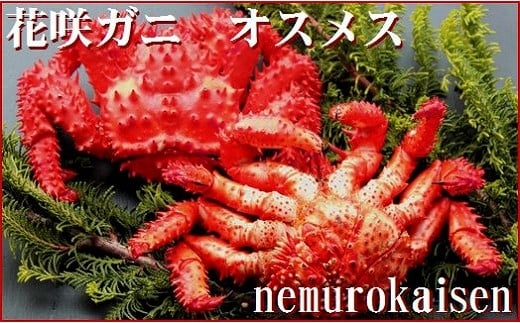 A-57008【年内配送可】 【北海道根室産】花咲ガニオスメス各1尾(計1kg前後)北海道根室市14000魚介・海産物カニ