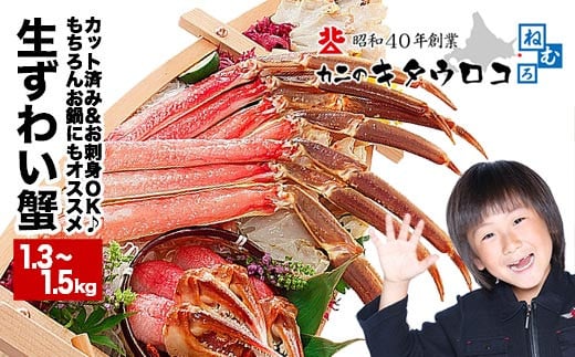 B-25002y12/21܂ŔNzz hgłHׂ{킢ɂԋlߍ킹1.3`1.5kgkCs23000ZbgE؁EHHiJ[EV`[