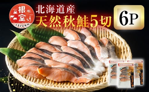 A-11006y12/10܂ŔNzz  YÉVRH5×6P(v30؁A1.5kg)kCs14000ECYN