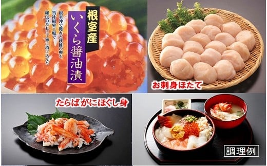 C-01001【年内配送可】 【北海道根室産】根室水揚げ海鮮丼セット北海道根室市29000魚介・海産物貝類