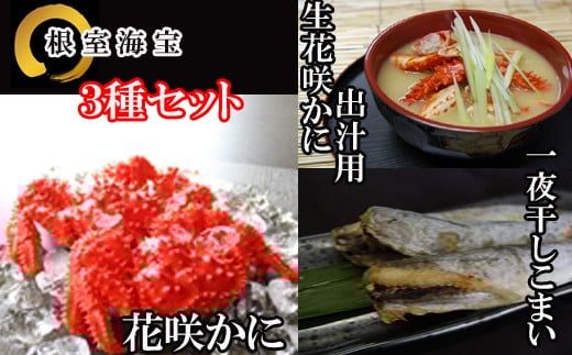 A-36015y12/21܂ŔNzz ykCYzԍ炩ɁE銱܂lߍ킹kCs14000ECYJj