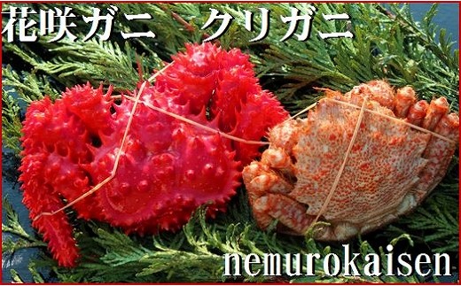 A-57016y12/21܂ŔNzz ykCYzԍKjƃNKjZbg(`h)kCs14000ECYJj