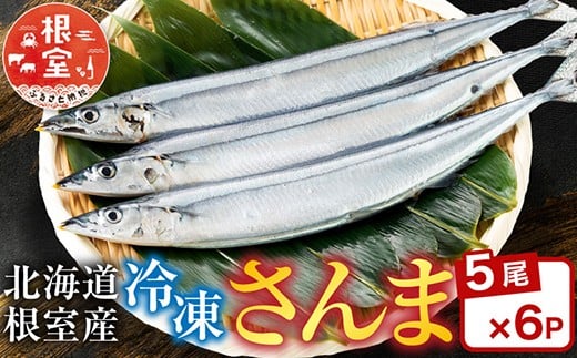 B-30005【12/21まで年内配送】 【北海道根室産】冷凍さんま30尾北海道根室市23000魚介・海産物その他 魚介・海産物