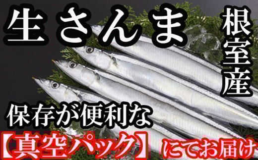 C-36002【年内配送可】 【北海道根室産】冷凍さんま40尾北海道根室市29000魚介・海産物その他 魚介・海産物