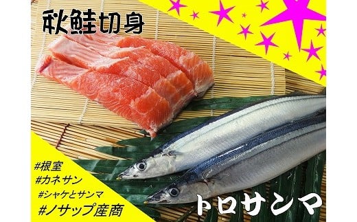 A-59002【12/21まで年内配送】 【北海道根室産】生冷凍サンマ5本入×2P・秋鮭切身3切れ×1P北海道根室市14000魚介・海産物鮮魚