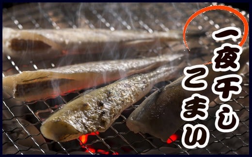 A-36012【年内配送可】 【北海道根室産】一夜干しこまい200g×10袋北海道根室市14000魚介・海産物貝類