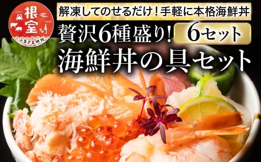 B-10008y12/7܂ŔNzz CN̋(6퐷)×6ZbgkCs23000ECY̑ ECY