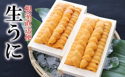 E-71029 G]otEj140g×4[2026N1{ȍ~]kCs92000ECYCJE^REEj