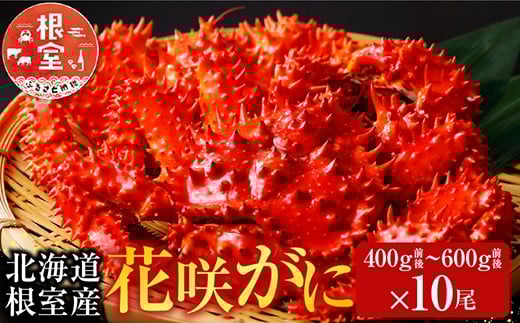 D-70007y12/21܂ŔNzz ykCYzԍ炩400`600g×10kCs58000ECYJj