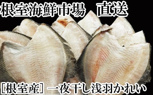 A-11059y12/10܂ŔNzz  ykCYz銱Hꂢ20kCs14000ECYL