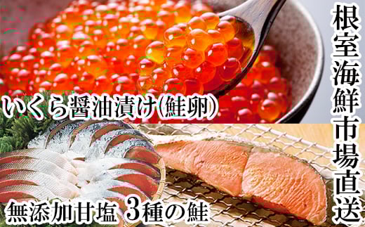 A-14096【年内配送可】  無添加天然甘塩鮭3種各5切、いくら醤油漬け(鮭卵)70g×1P北海道根室市14000魚介・海産物鮮魚
