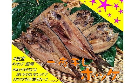 B-59005【年内配送可】 【北海道根室産】一夜干しホッケ5枚北海道根室市23000魚介・海産物干物