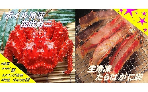 C-59002y12/21܂ŔNzz ykCYzⓀ΂ɋrJbg600gE{CⓀԍKj1ZbgkCs29000ECYJj