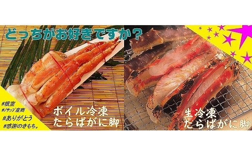 D-59006【12/21まで年内配送】 【北海道根室産】生冷凍・ボイル冷凍たらばがに脚セット北海道根室市58000魚介・海産物カニ
