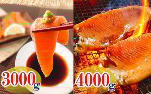 D-09003【12/14まで年内配送】 お刺身トラウトサーモン3kg&とろサーモンハラミ4sセット北海道根室市58000魚介・海産物鮮魚
