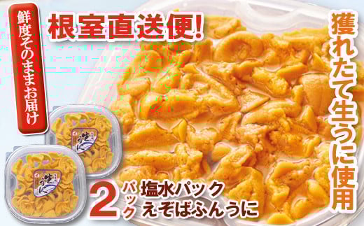 F-40003yNzz G]otEjpbN100`110g×2P[11{ȍ~]kCs34000ECYCJE^REEj
