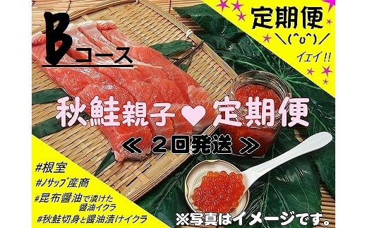 D-59011 <定期便>【北海道根室産】秋鮭親子Bコース定期便(2回発送)北海道根室市58000魚介・海産物鮮魚