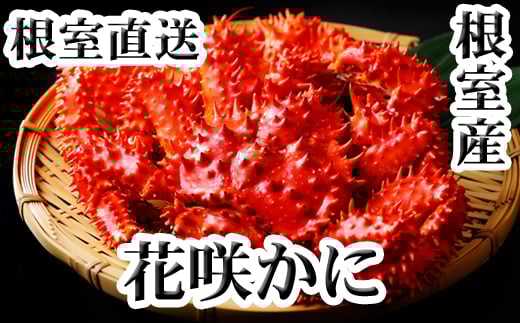 C-36031【12/21まで年内配送】 【北海道根室産】花咲かに400g前後〜500g前後×4尾北海道根室市29000魚介・海産物カニ