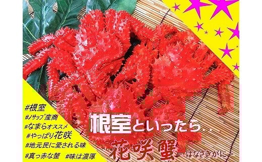 D-59016【年内配送可】 【北海道根室産】花咲ガニ4〜6尾(計2.8kg以上)北海道根室市58000魚介・海産物カニ